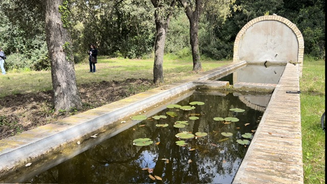 La vita di un fontanile